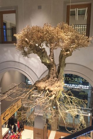 Housed in a quaint restaurant in Milan, a golden tree hangs from the ceiling. 
