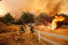 California wildfires continue to destory massive forests. 