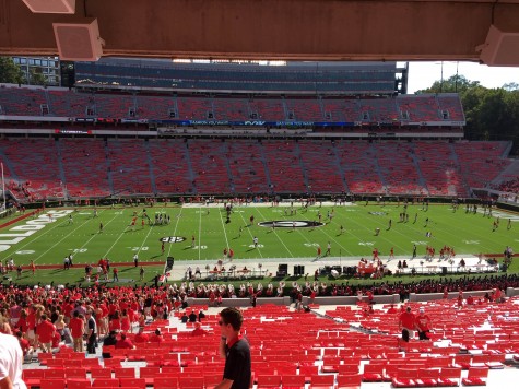 Fans get ready to tee it up between the hedges and