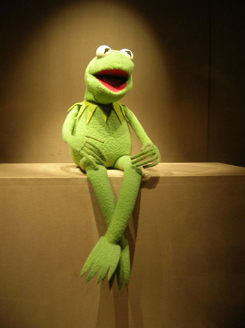 Kermit+the+Frog+continues+his+career+as+television+icon.