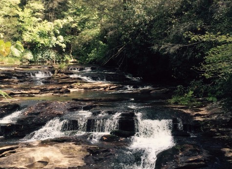 Small rapids on the Panther Creek hiking trail