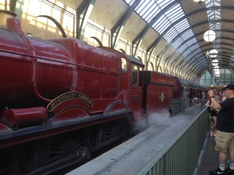 Passengers waiting to board the Hogwarts Express.