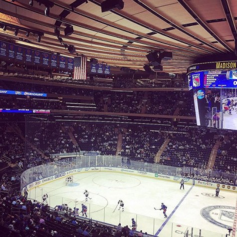 The NHL preseason standings this year have been finalized, making way for season speculations