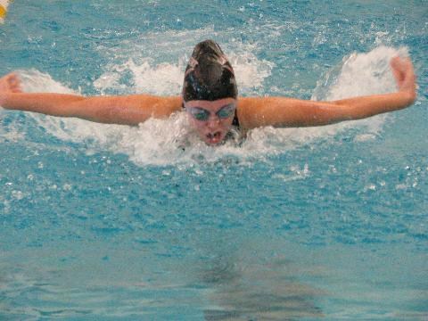 Lady Longhorns speeds down the pool, performing a butterfly swim.