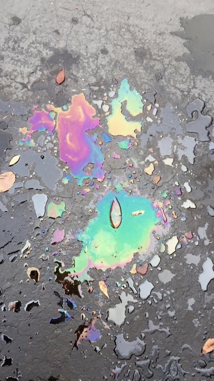 I saw a small puddle of water, and didnt think anything of it. Walking by it, these colors caught my eye. I was in a shopping mall parking lot, of all places, and just wanted to go home, but I had to stop and take a picture of this. The colors blend beautifully and brightened up my day. - Lacey Ewers