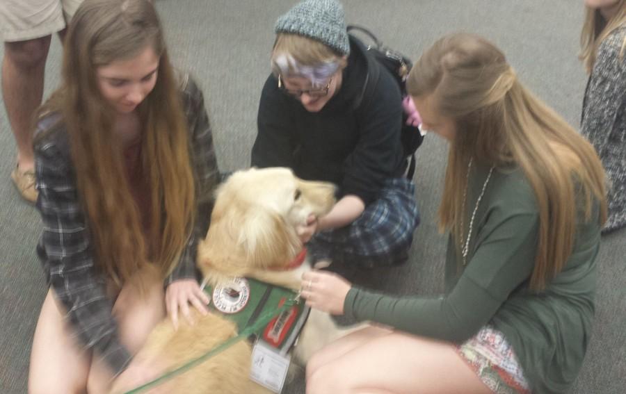 Students+gather+around+the+pooch+for+a+stress-free+visit