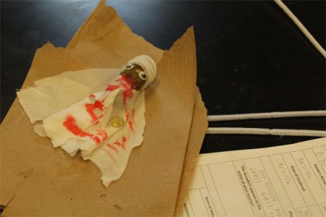 Forensic students construct mock crime scenes using pickles