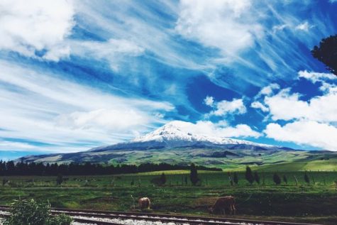 Experience Ecuador and the Galapagos