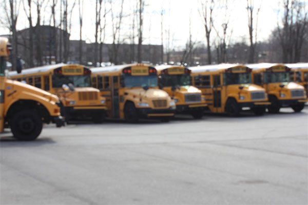 A row of Lambert's school buses lie undisturbed while school is in session.