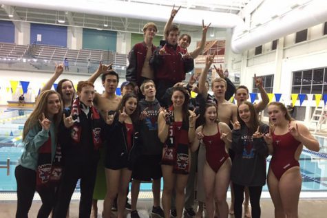 Lambert swim steals county victory