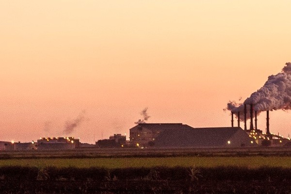 Besides the greenhouse gas emissions, factory farms also create serious pollution problems for the surrounding areas. 