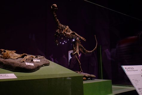 Five Things Friday: from rallies to dinosaurs