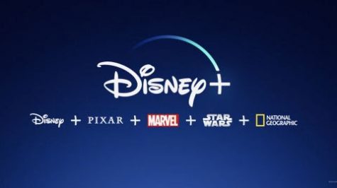 Disney+ Pleases Those Die-Hard Disney Fans Looking For A Binge