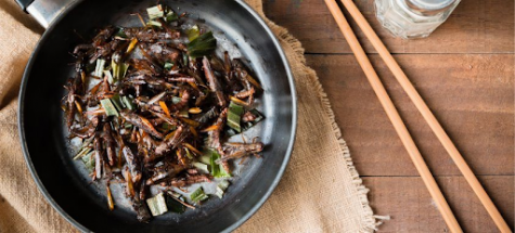Entomophagy: The Future Of Food?