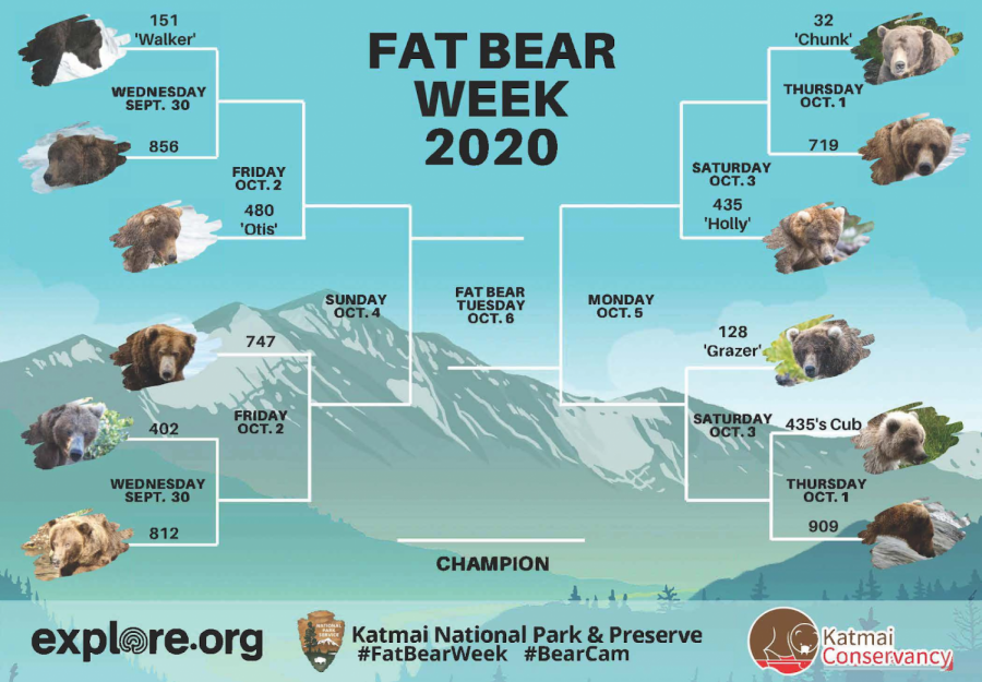 The original bracket for the competition this year, Bracket From NPS on September 25, 2020, some rights reserved nps.gov/fat-bear-week
