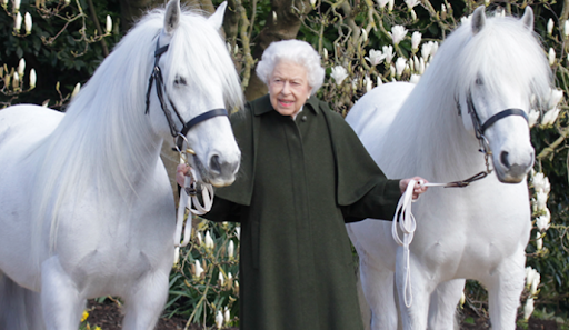 Her royal majesty Queen Elizabeth the II posing with two royal steeds. April 27th 2022 (Royal.UK)
