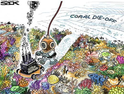 Due to global warming, coral bleaching is occurring more often. (Steve Sack/Star Tribune)