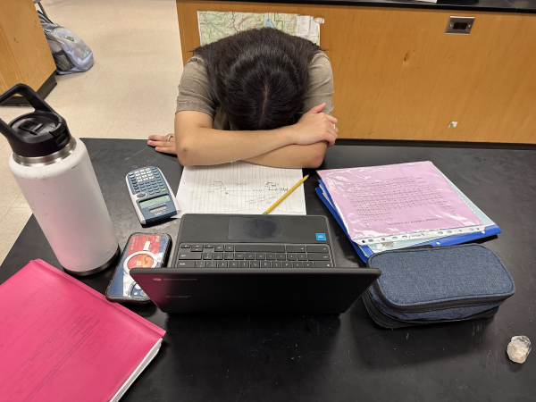 The photo shows a high schooler Sakinah Khuram in her sophomore year late at night trying to cram for a chemistry test the following day. She looks very tired and is trying hard not to fall asleep.  Photo Credit: Tracy Ding