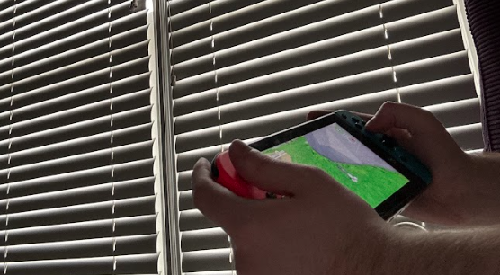 Gameplay on the Nintendo Switch (first model) (Ian Lee).